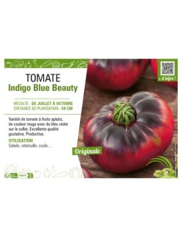 TOMATE INDIGO BLUE BEAUTY