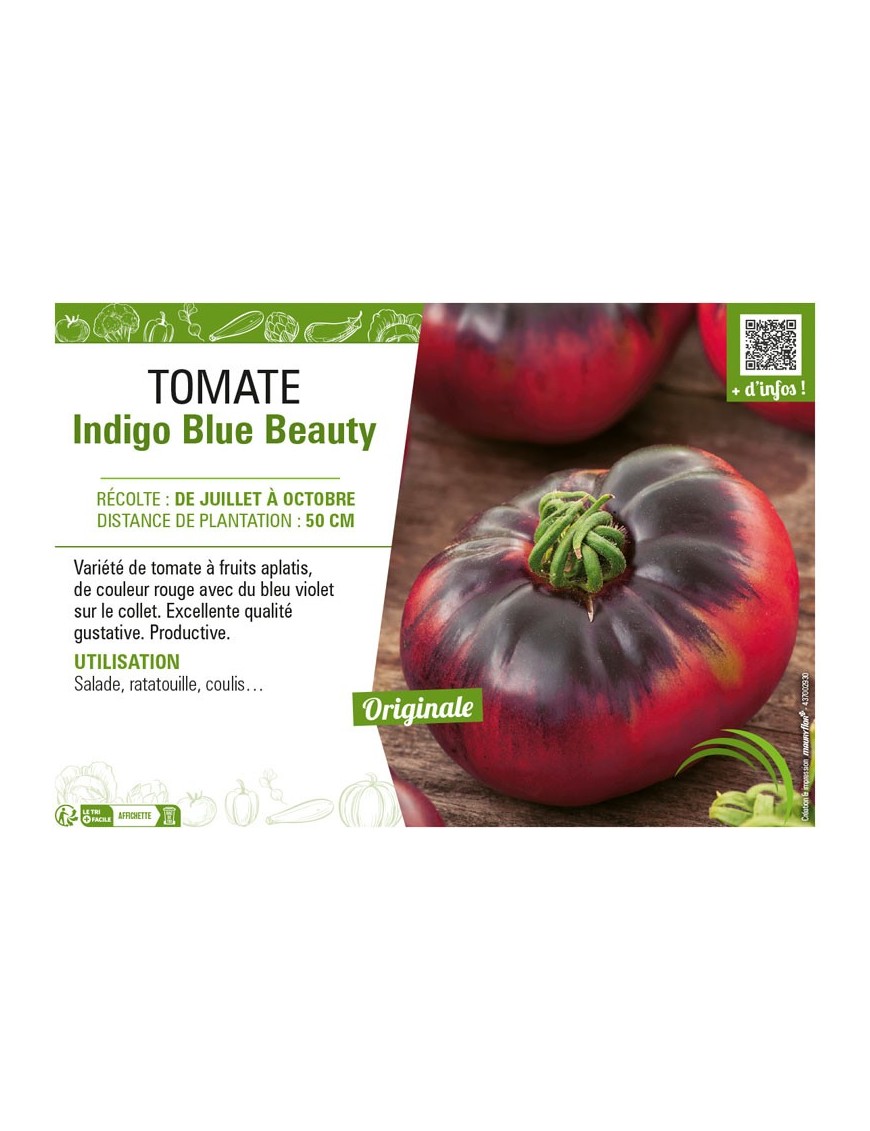 TOMATE INDIGO BLUE BEAUTY