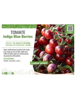 TOMATE INDIGO BLUE BERRIES