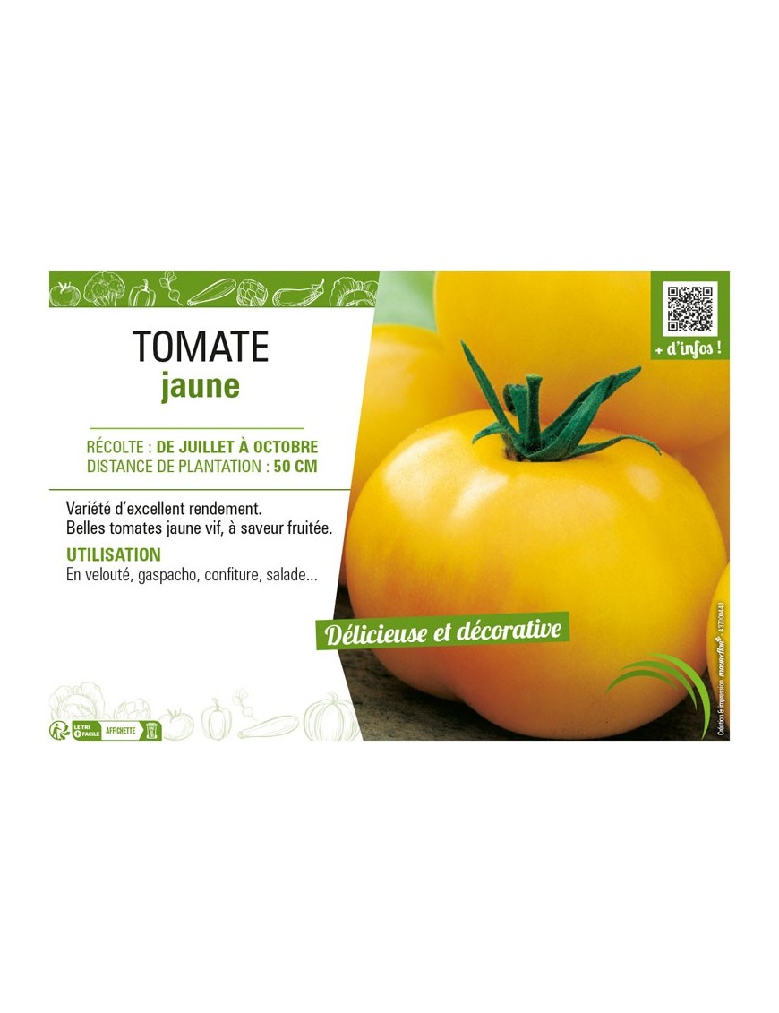 TOMATE JAUNE