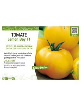 TOMATE LEMON BOY F1