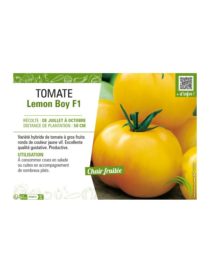 TOMATE LEMON BOY F1
