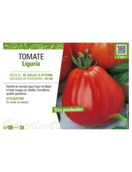TOMATE LIGURIA