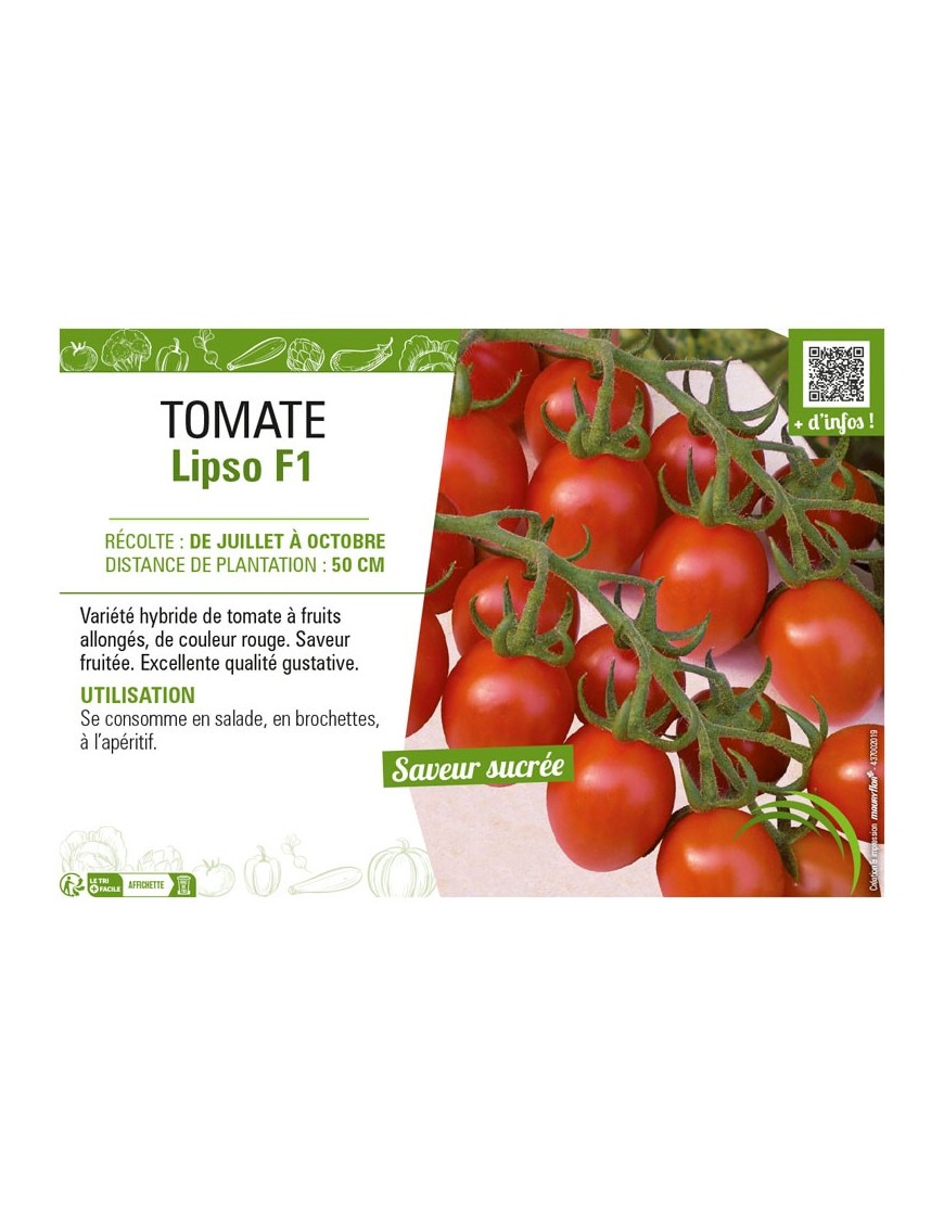 TOMATE LIPSO F1