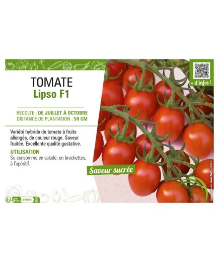 TOMATE LIPSO F1