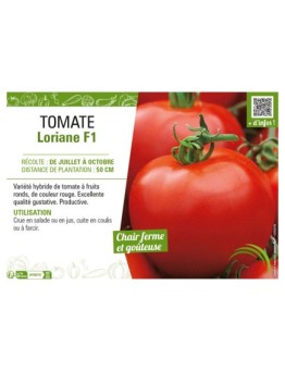 TOMATE LORIANE F1