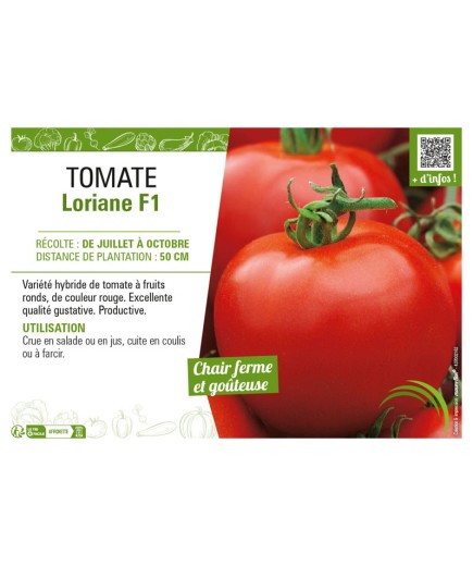 TOMATE LORIANE F1