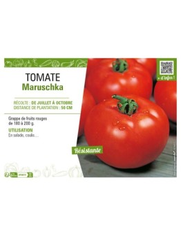 TOMATE MARUSCHKA