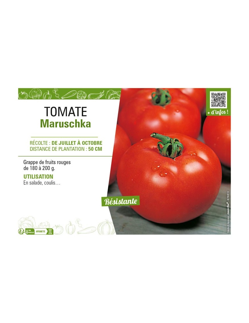 TOMATE MARUSCHKA
