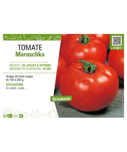 TOMATE MARUSCHKA