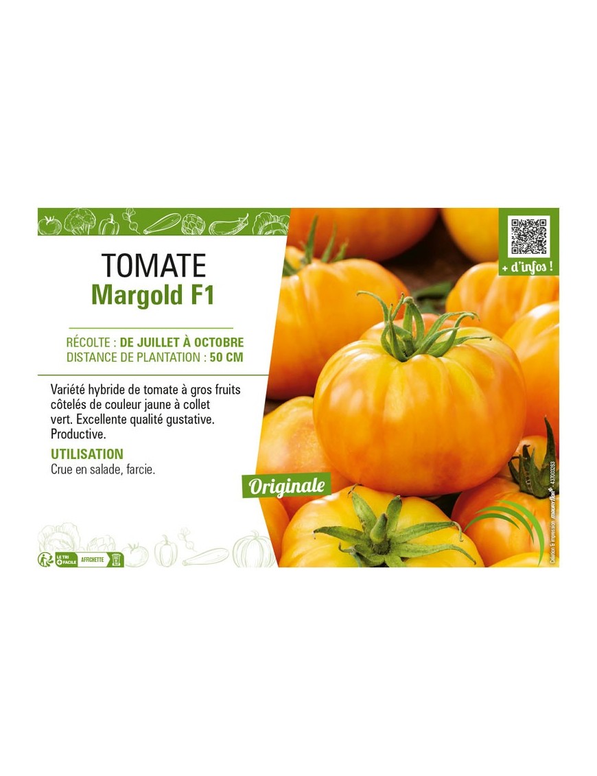 TOMATE MARGOLD F1