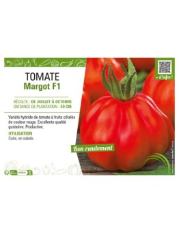TOMATE MARGOT F1