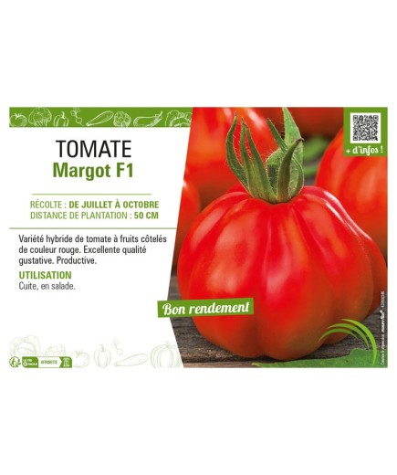 TOMATE MARGOT F1