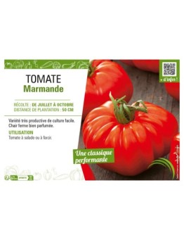 TOMATE MARMANDE