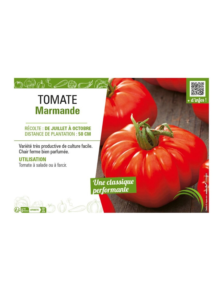 TOMATE MARMANDE