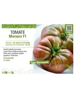 TOMATE MARNERO F1