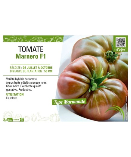 TOMATE MARNERO F1