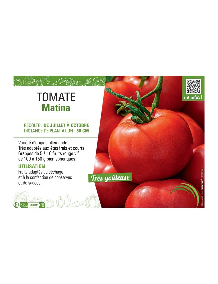 TOMATE MATINA