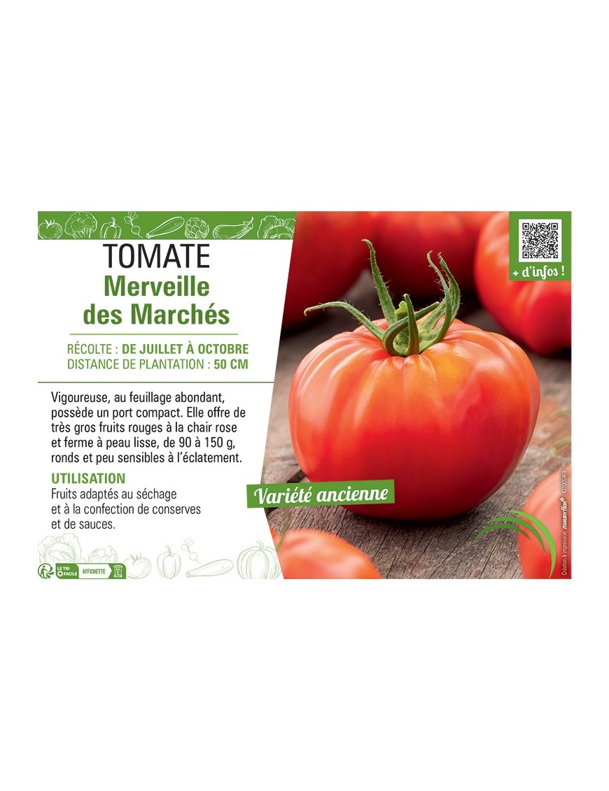 TOMATE MERVEILLE DES MARCHES