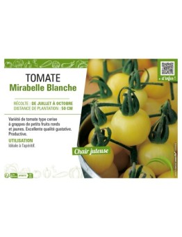 TOMATE MIRABELLE BLANCHE