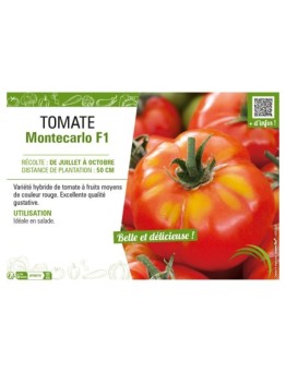 TOMATE MONTECARLO F1