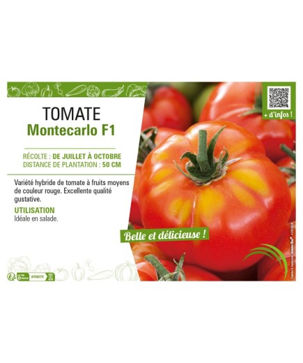 TOMATE MONTECARLO F1