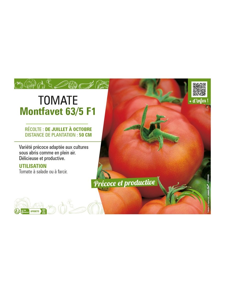 TOMATE MONTFAVET 63/5 F1