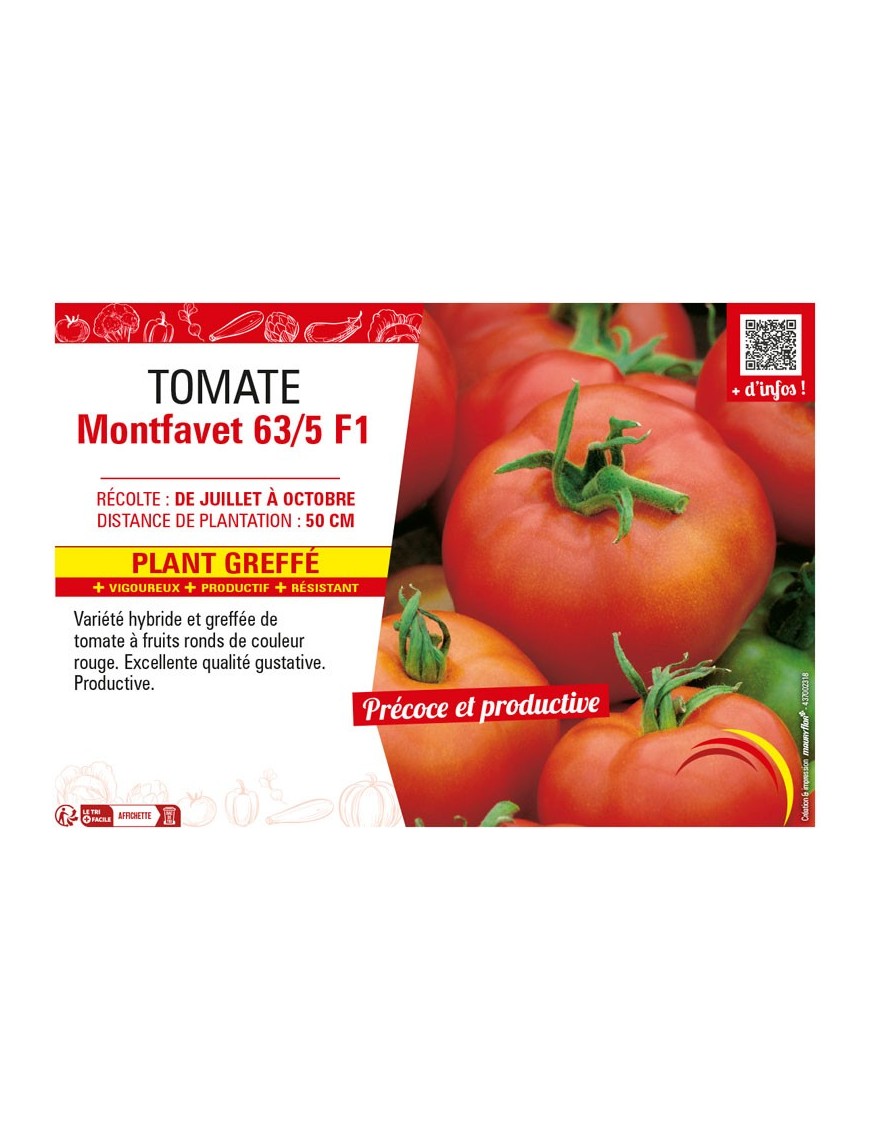 TOMATE MONTFAVET 63/5 F1 Plant greffé