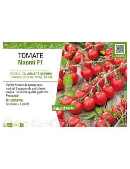 TOMATE NAOMI F1