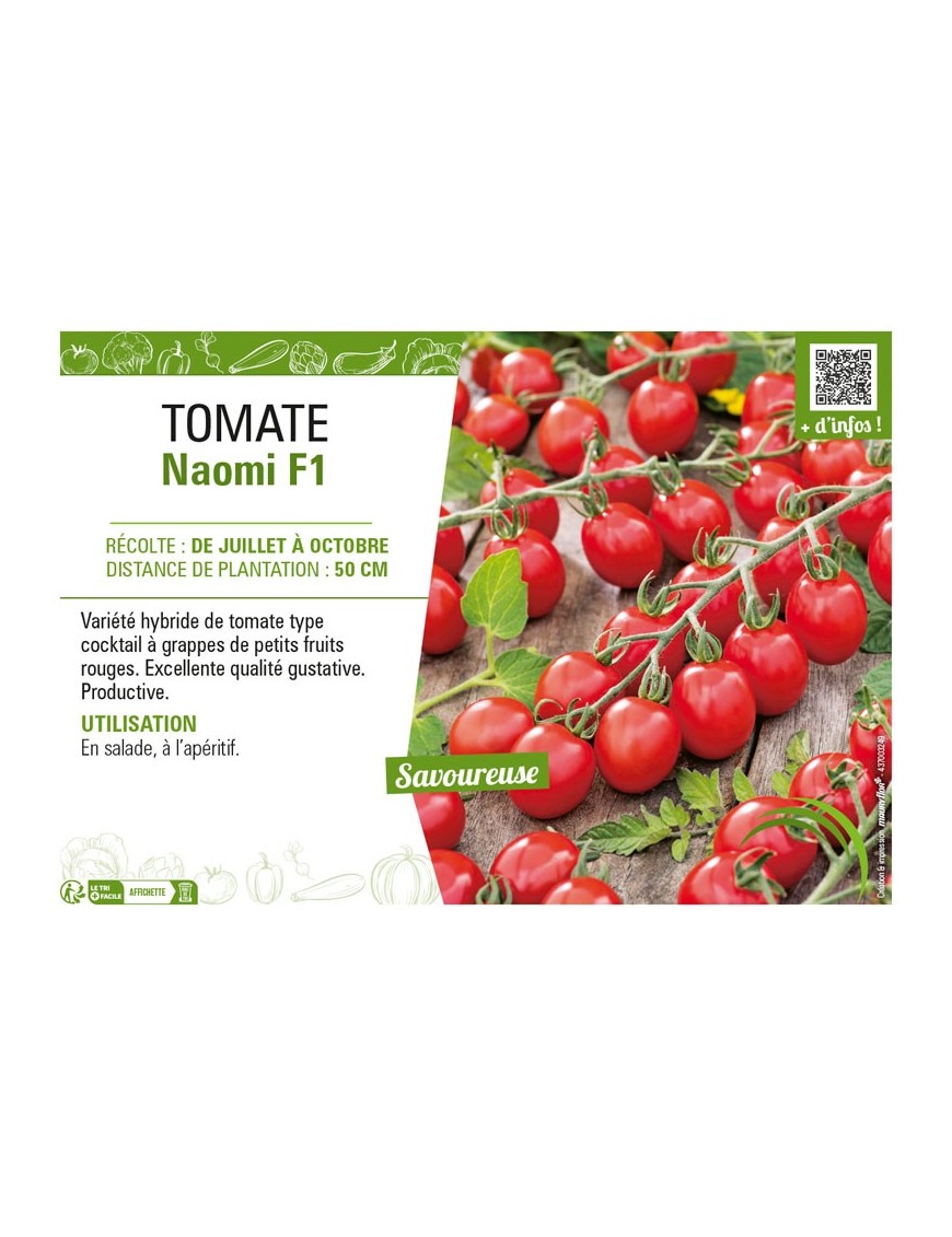 TOMATE NAOMI F1