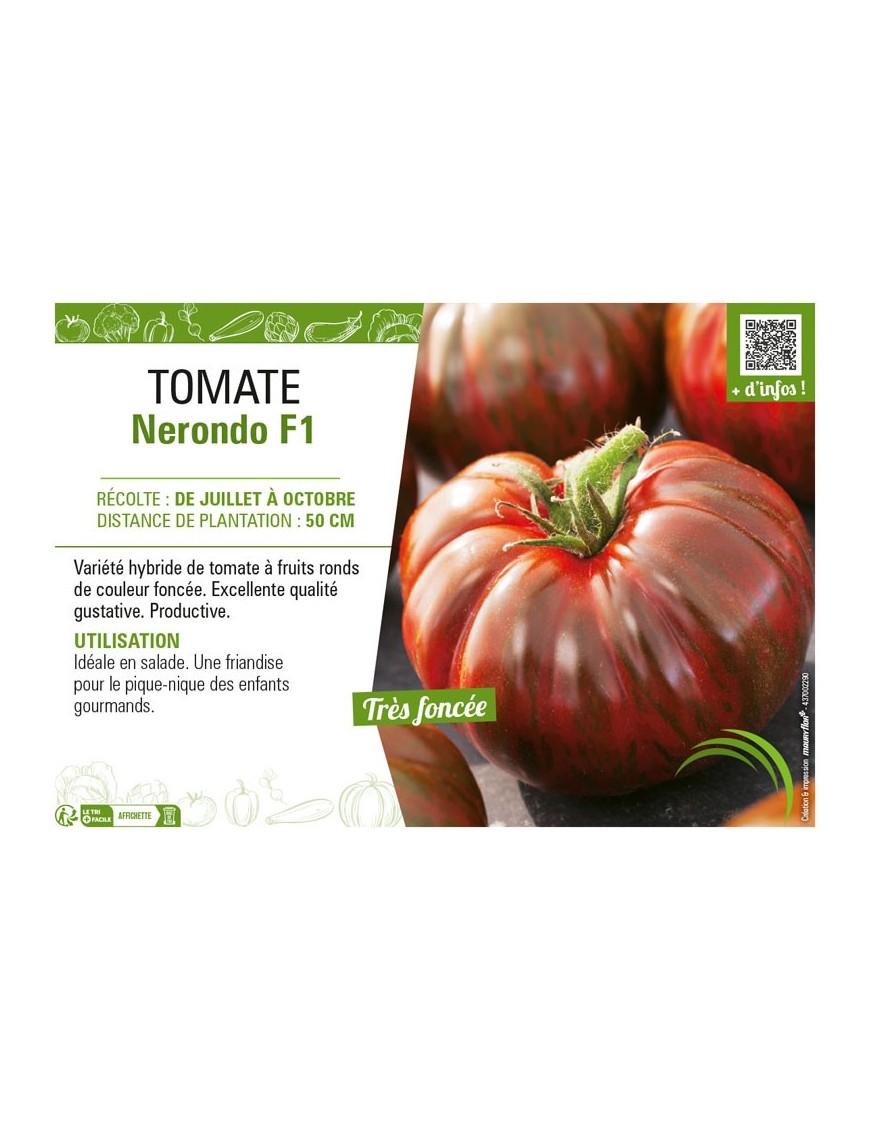 TOMATE NERONDO F1