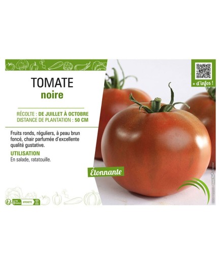 TOMATE NOIRE