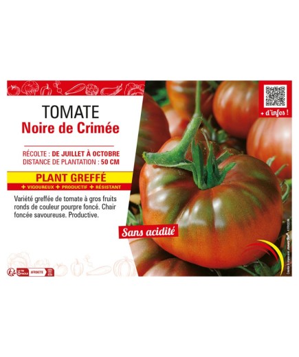 TOMATE NOIRE DE CRIMÉE Plant greffé