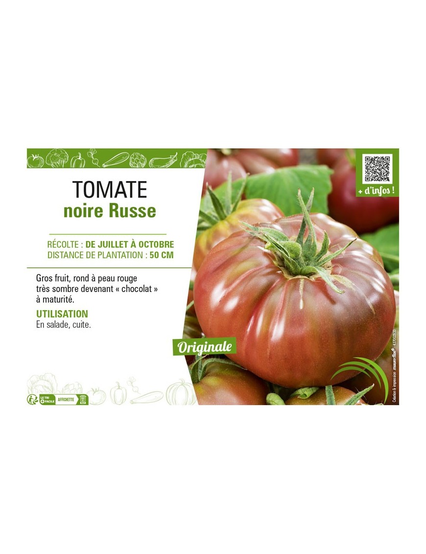 TOMATE NOIRE RUSSE