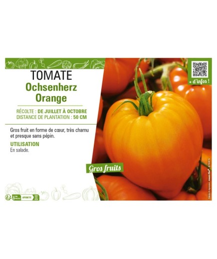 TOMATE OCHSENHERZ ORANGE
