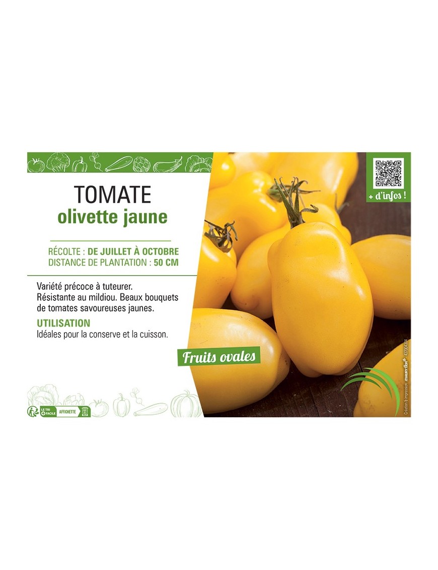 TOMATE OLIVETTE JAUNE