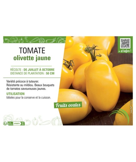 TOMATE OLIVETTE JAUNE