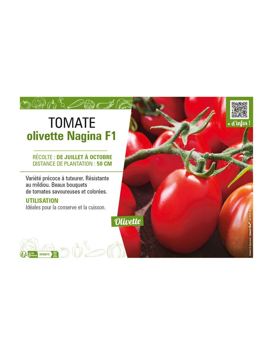 TOMATE OLIVETTE NAGINA F1