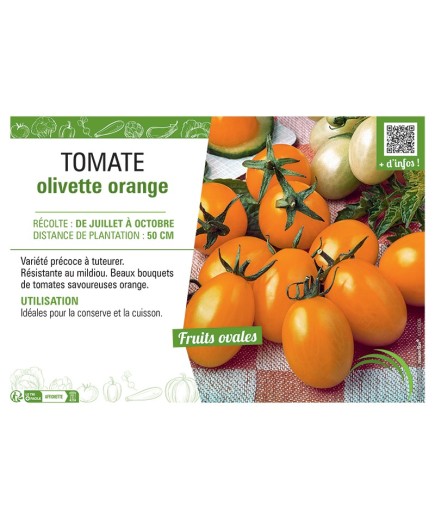TOMATE OLIVETTE ORANGE