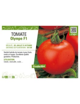 TOMATE OLYMPE F1