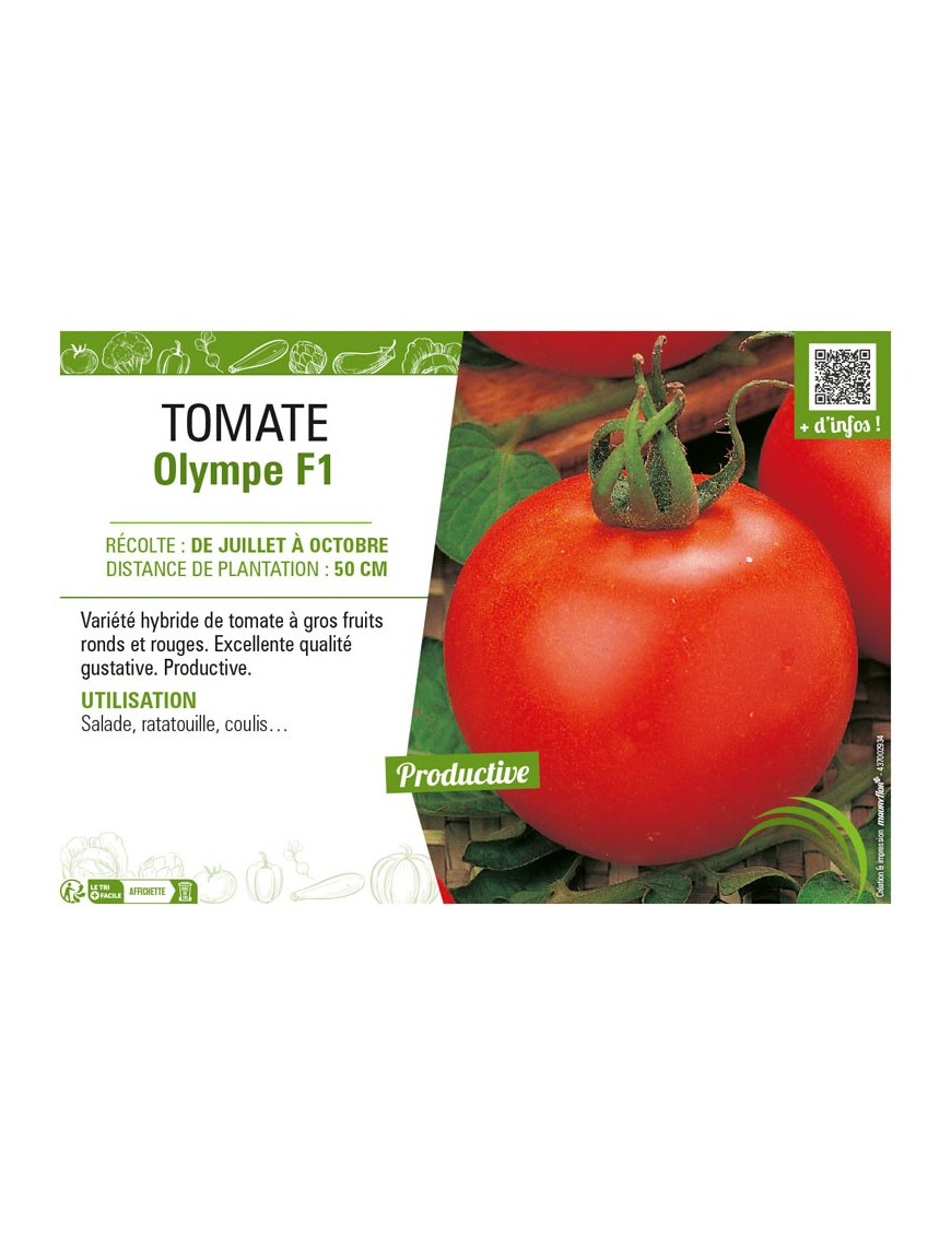 TOMATE OLYMPE F1