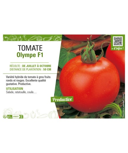 TOMATE OLYMPE F1