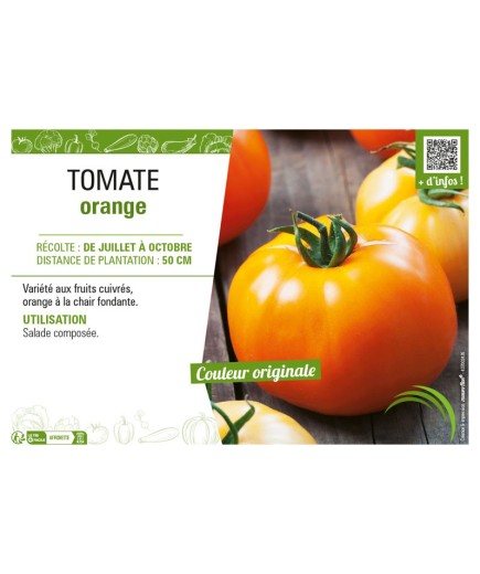TOMATE ORANGE