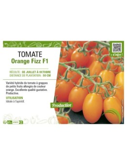 TOMATE ORANGE FIZZ F1