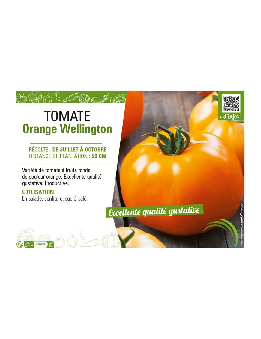 TOMATE ORANGE WELLINGTON