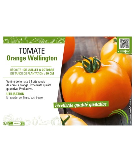 TOMATE ORANGE WELLINGTON