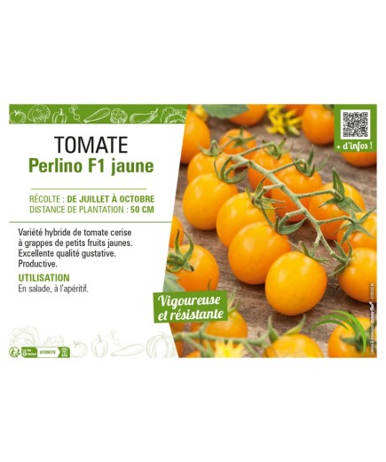 TOMATE PERLINO F1 JAUNE