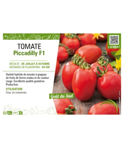 TOMATE PICCADILLY F1