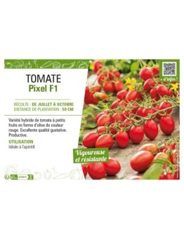 TOMATE PIXEL F1