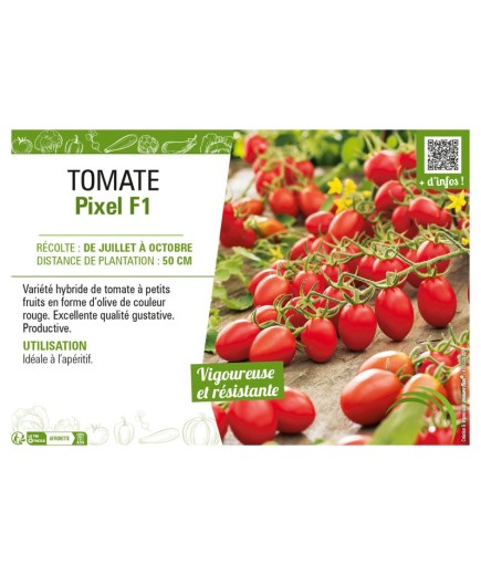 TOMATE PIXEL F1